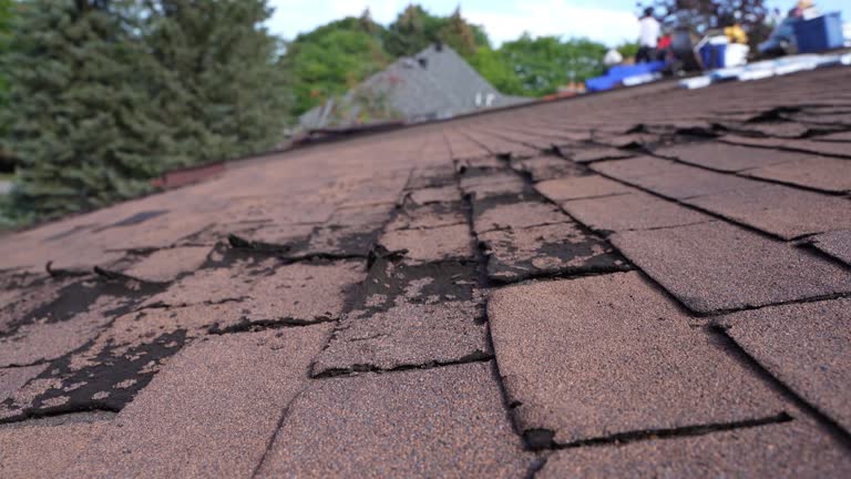 Best Roof Coating and Sealing  in St Helena, CA