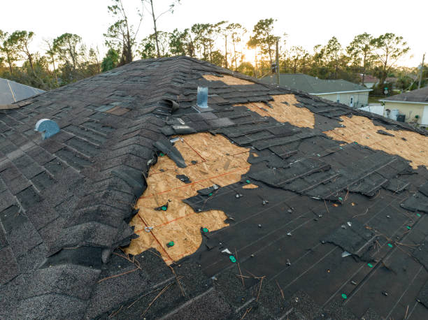 Best Roof Ventilation Installation  in St Helena, CA