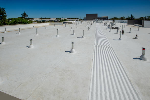 Best Roof Moss and Algae Removal  in St Helena, CA